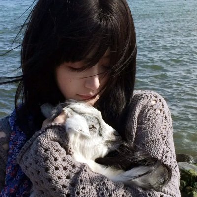 《殡之森》海报